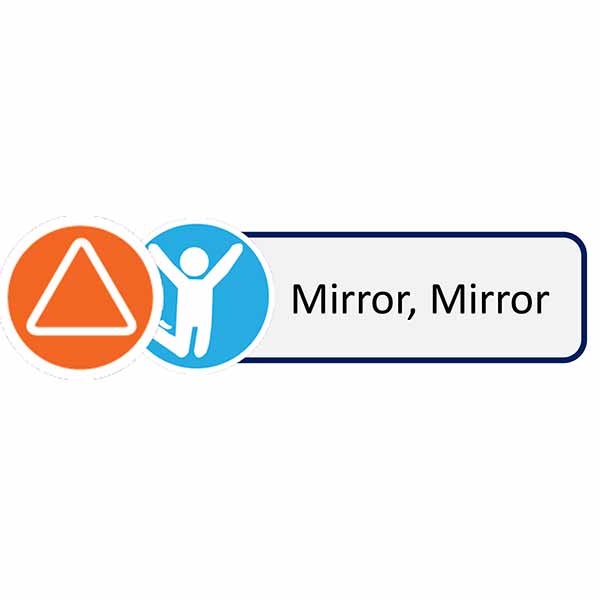 icon mirror mirror