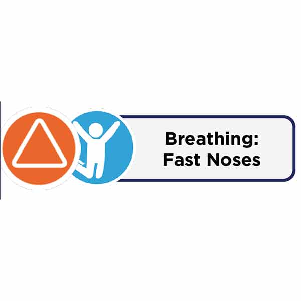 Breathing Fast Noses Card Icon