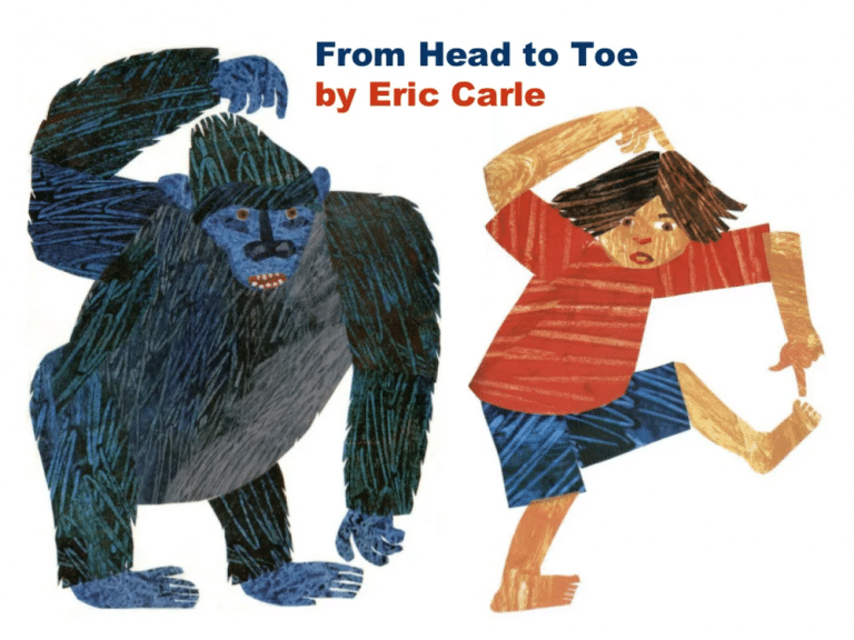 From Head to Toe book cover
