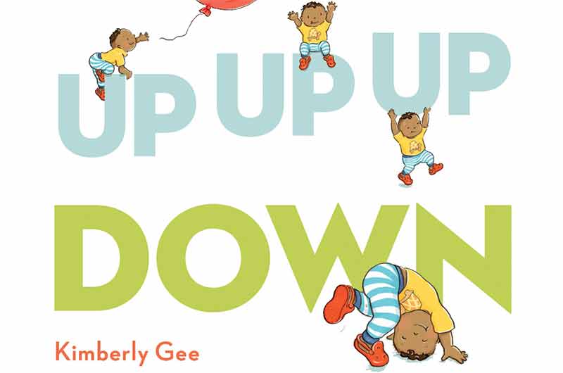 Up Up Up Down Book Cover