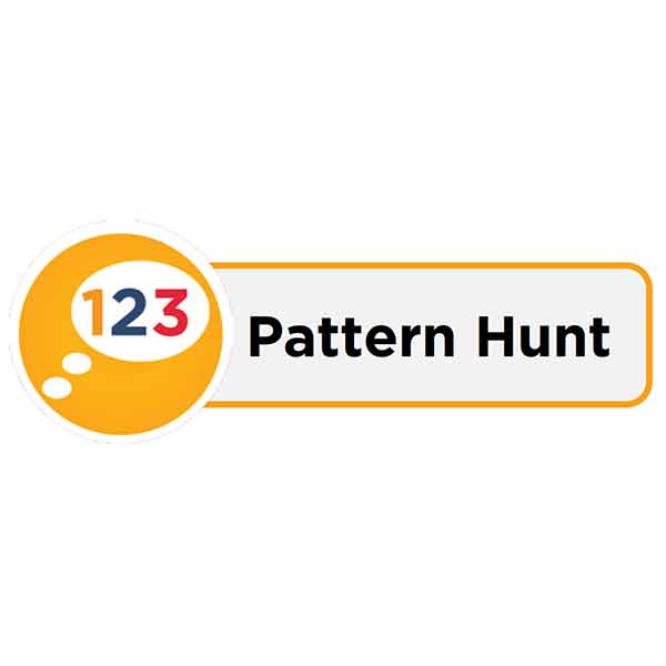 Pattern Hunt Activity Card