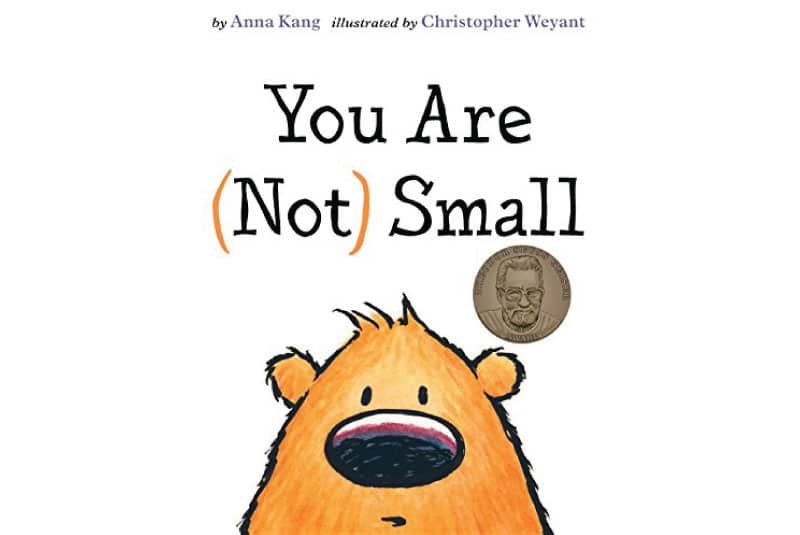 You Are (Not) Small book cover
